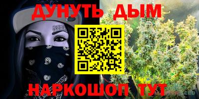 шишки Нальчик